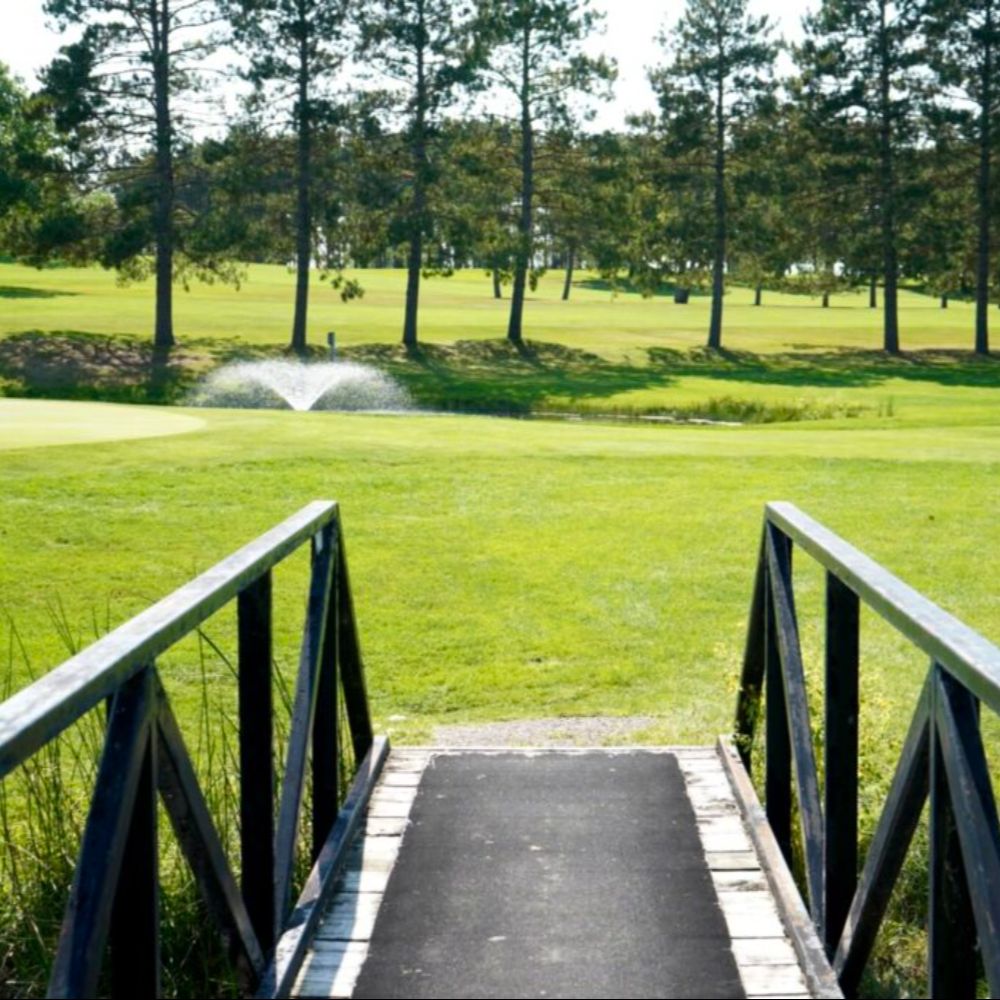 Oak 7 Green (1) (1) (1)